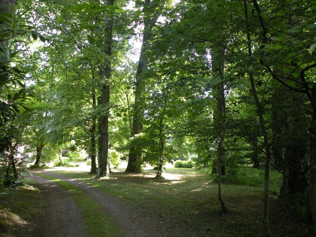 Les Talvasieres Le Mans Kültér fotó